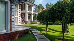 Emergency Tree Services for Jackson’s Stormy Seasons