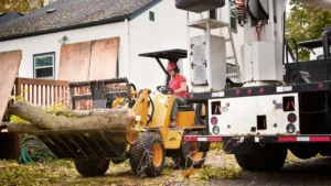 Selecting a Tree Service for McKean’s Rural Community