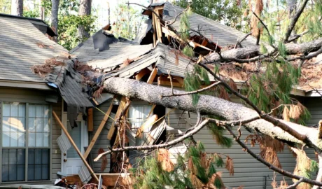 Preventing Tree Damage in Westfield's Windy Seasons