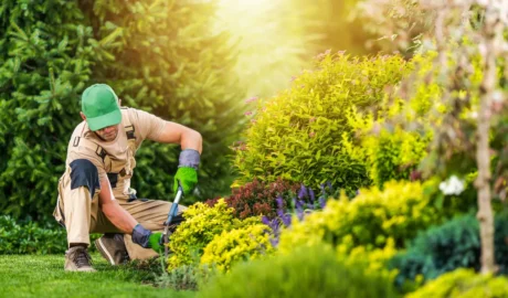 Tree Maintenance for Westfield's Community Spaces