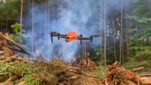 Choosing a Tree Service for Waterford’s Community
