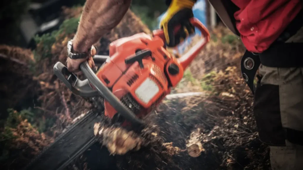 Affordable Tree Removal for Waterford’s Historic Properties