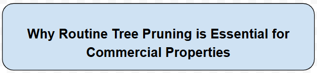 Screenshot 37 Why Regular Tree Inspections Are Crucial for Albany Commercial Properties