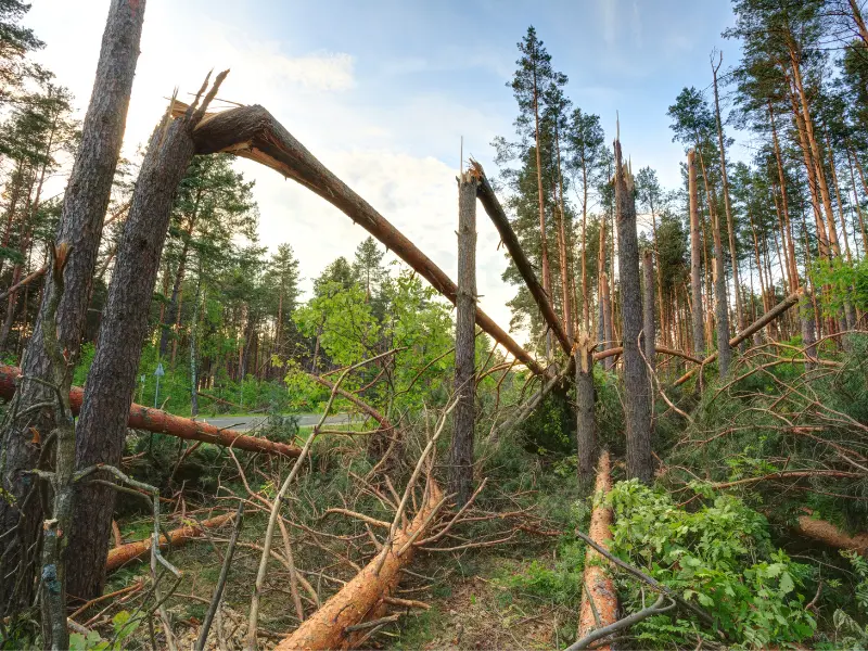Assessing the Damage After the Storm