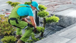 The Benefits of Stump Grinding and Removal for Your Yard.