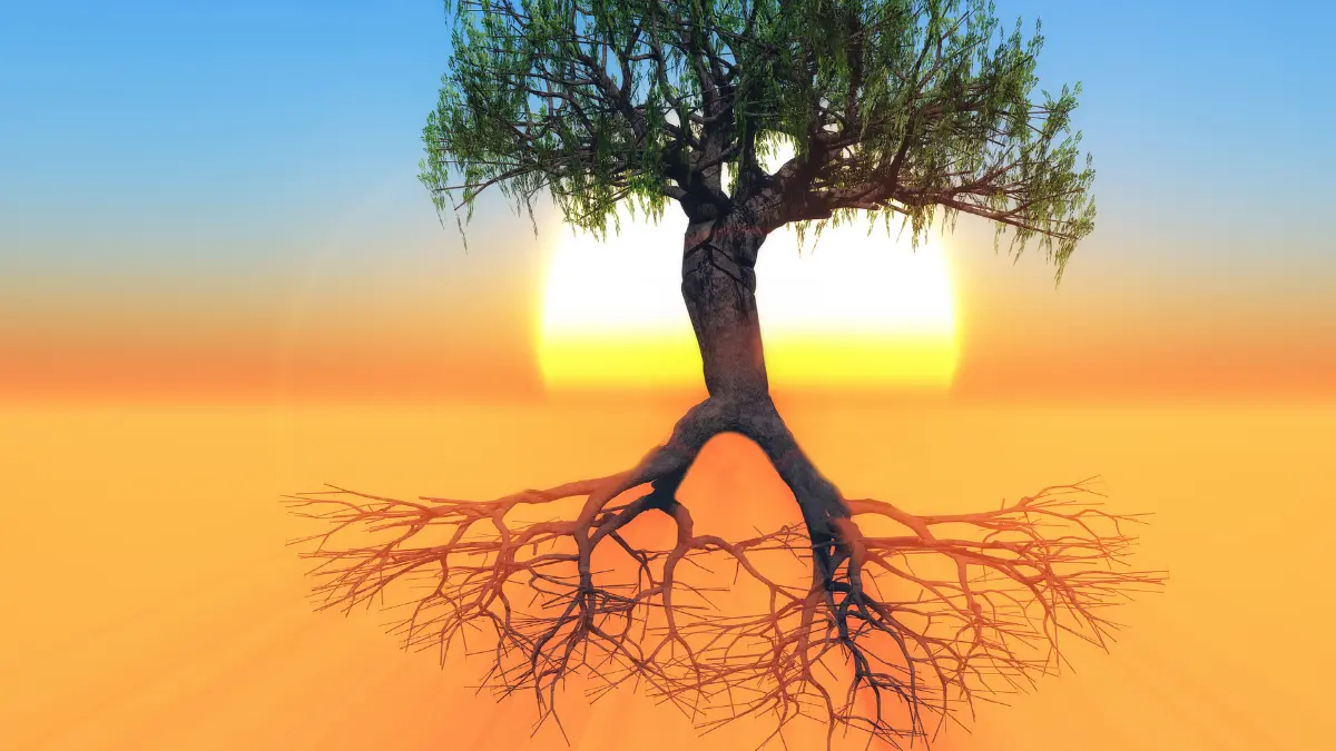 Why Erie Homeowners Should Invest in Deep Root Fertilization