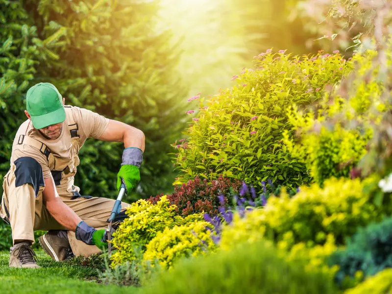 Ready to Prune? Call the Local Experts