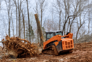 15 1 What Is the Best Tree Pruning Method for Albany's Climate?