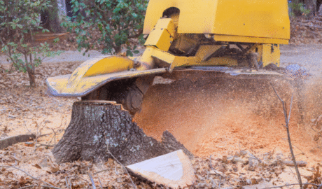 19 How Much Does It Cost to Build an Inground Pool in Buffalo? (Local Pricing Guide)