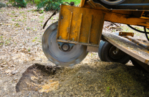 24 How Much Does It Cost to Build an Inground Pool in Buffalo? (Local Pricing Guide)