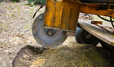 24 How Much Does It Cost to Build an Inground Pool in Buffalo? (Local Pricing Guide)