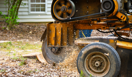 25 How Much Does It Cost to Build an Inground Pool in Buffalo? (Local Pricing Guide)