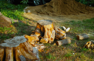 26 How Much Does It Cost to Build an Inground Pool in Buffalo? (Local Pricing Guide)