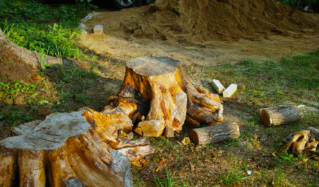 26 How Much Does It Cost to Build an Inground Pool in Buffalo? (Local Pricing Guide)