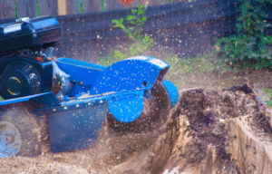 Process of Tree Grinding in Rochester, NY