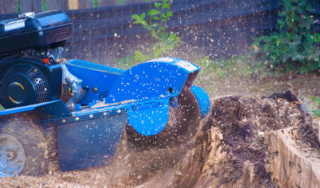 Process of Tree Grinding in Rochester, NY