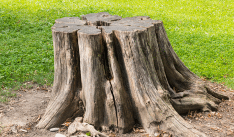 33 How Much Does It Cost to Build an Inground Pool in Buffalo? (Local Pricing Guide)