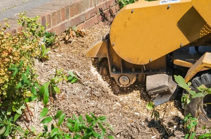38 How Much Does It Cost to Build an Inground Pool in Buffalo? (Local Pricing Guide)