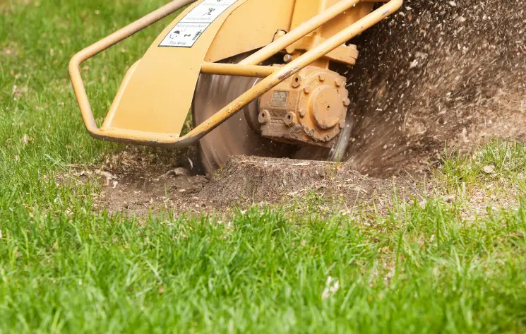63 1 How Much Does It Cost to Build an Inground Pool in Buffalo? (Local Pricing Guide)