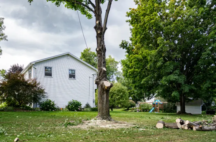 71 How Much Does It Cost to Build an Inground Pool in Buffalo? (Local Pricing Guide)