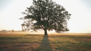 How Much Does It Cost to Remove a 30-Foot Tree in Albany?
