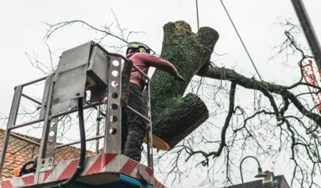 How Much Does It Cost to Build an Inground Pool in Buffalo? (Local Pricing Guide)