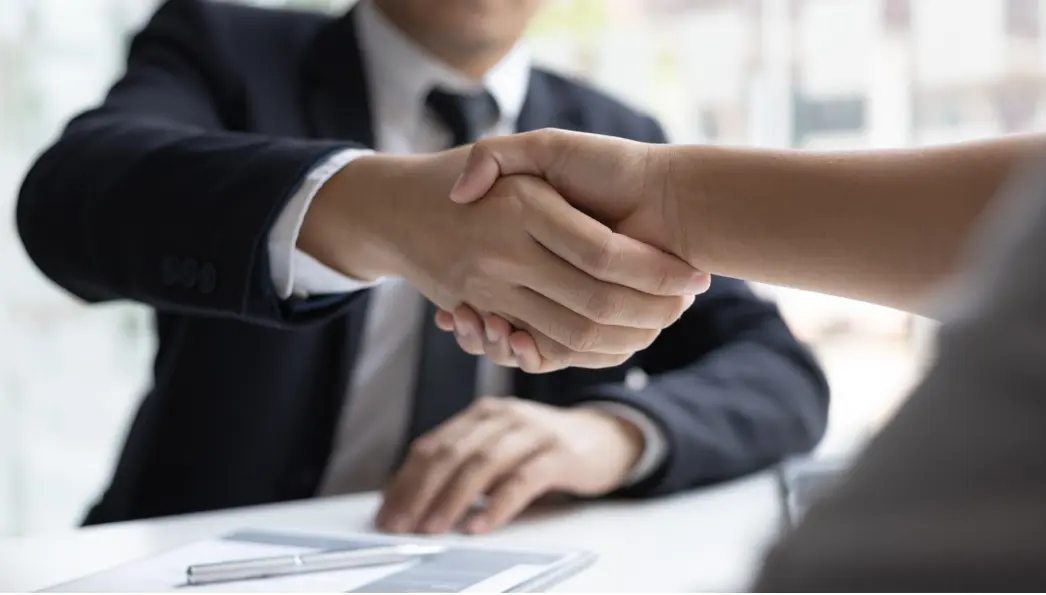 The Benefits of Hiring a Certified Arborist Consultant in Rochester, NY