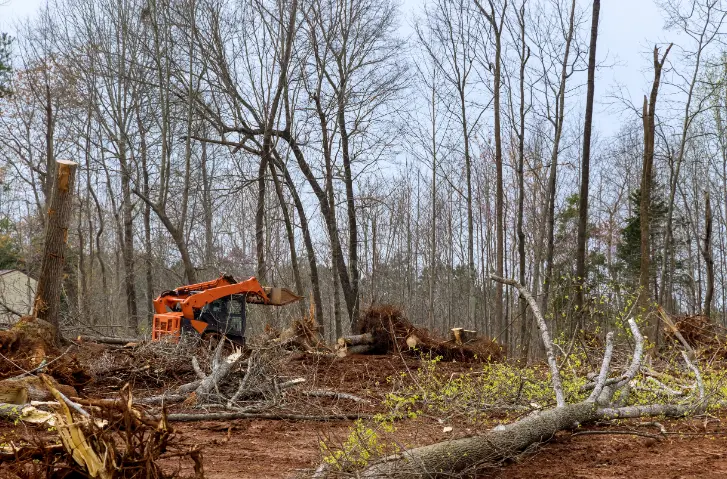 108 When Do You Need Tree Trimming in