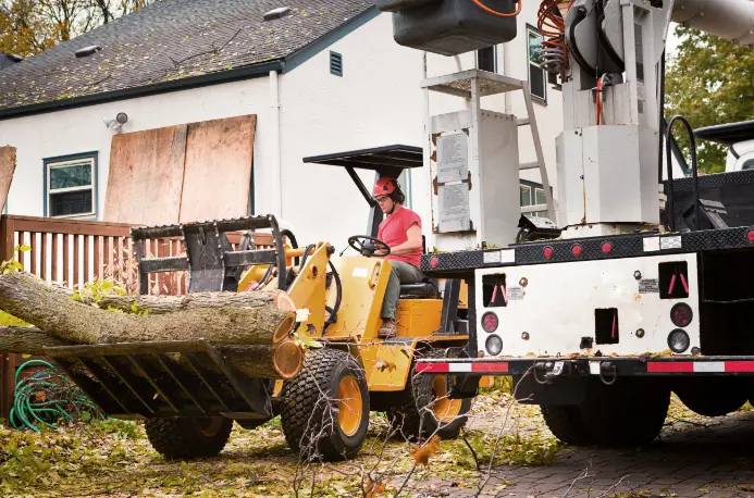 111 1 When Do You Need Tree Trimming in