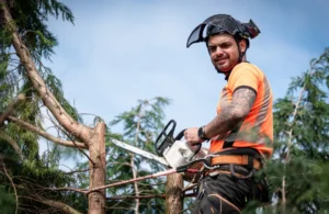 122 1 When Do You Need Tree Trimming in