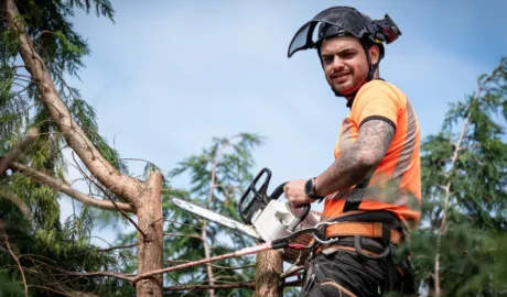 122 1 When Do You Need Tree Trimming in