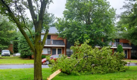 best Kearsarge’s Urban Homes