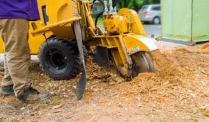 stump grinding