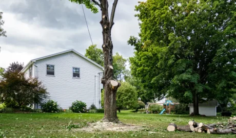 Kearsarge’s Urban Homes tree removal