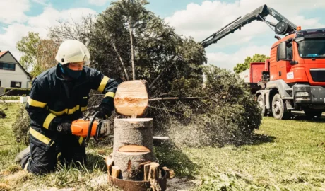 171 When Do You Need Tree Trimming in