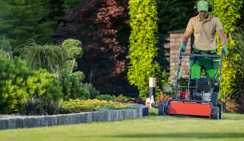 190 When Do You Need Tree Trimming in