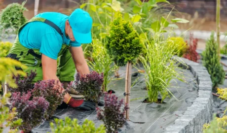 25 When Do You Need Tree Trimming in