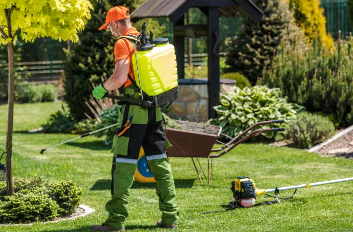 28 When Do You Need Tree Trimming in