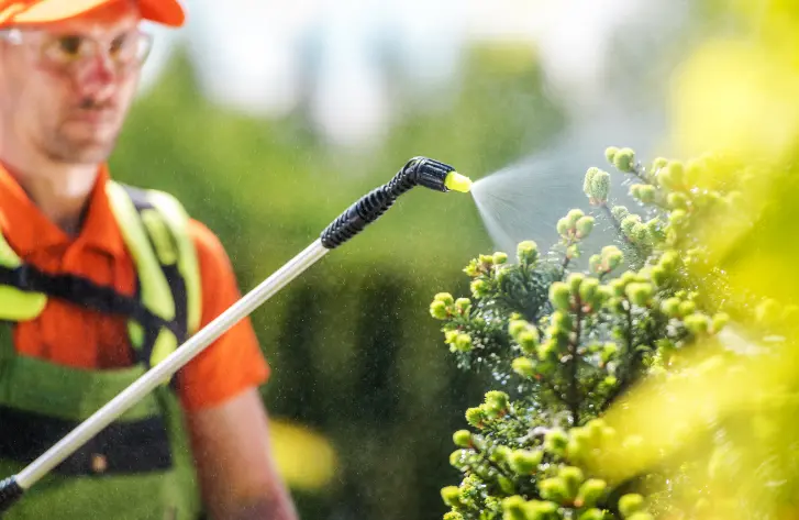 39 When Do You Need Tree Trimming in