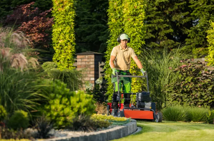 45 When Do You Need Tree Trimming in