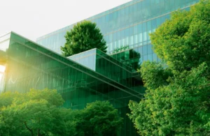 61 When Do You Need Tree Trimming in