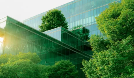 61 When Do You Need Tree Trimming in