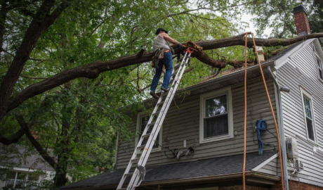 History, Techniques, & Care