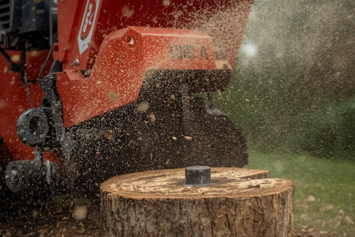 Stump Grinding in Rochester, NY: Cost, Process and Grinding vs Removal