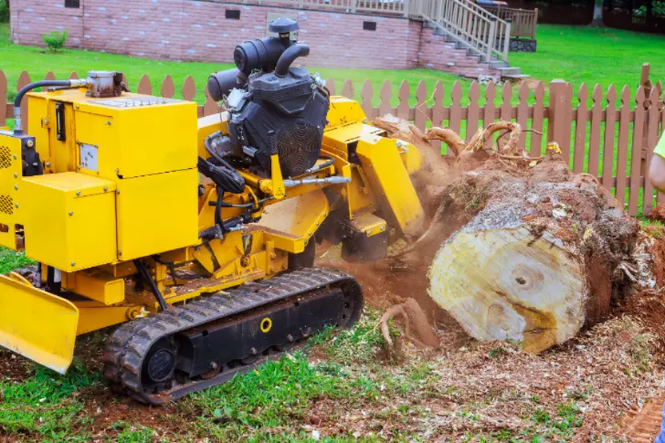 best tree removal company in Albany,NY