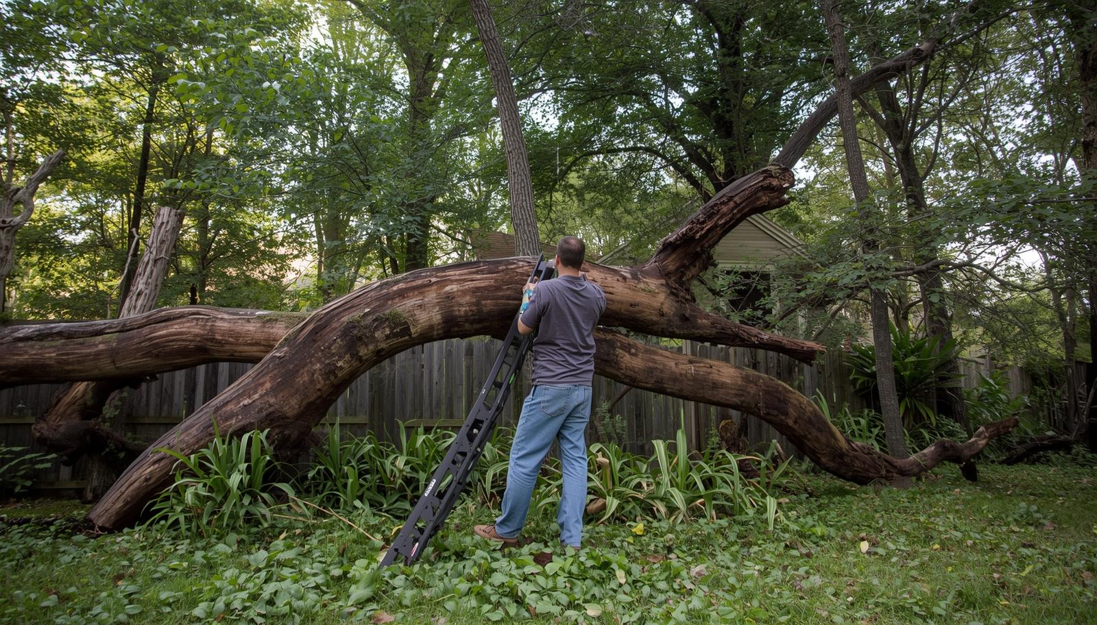 Emergency Tree Removal After a Storm in Omaha: What to Do & Who to Call
