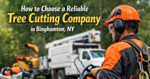 tree cutting company binghamton