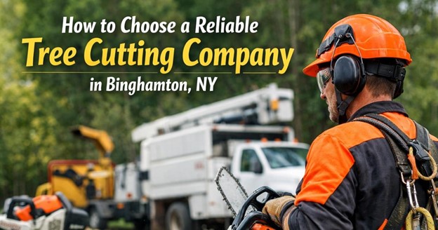 tree cutting company binghamton