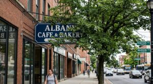 Tree Removal Madison Ave Albany