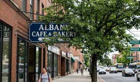 Tree Removal Madison Ave Albany
